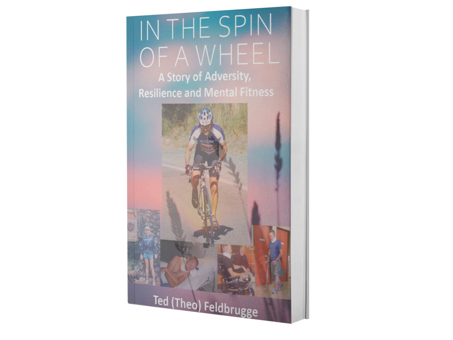 In the Spin of a Wheel book cover